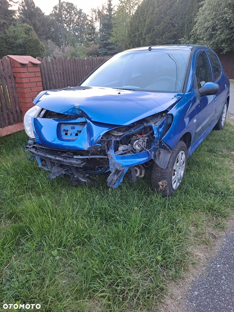 Peugeot 206 plus - 4