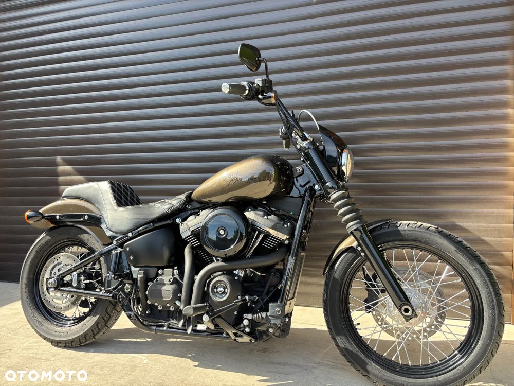 Harley-Davidson Softail - 12