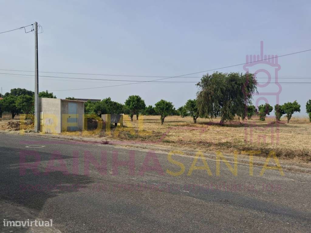 Lote para construção - Cartaxo - Grande imagem: 3/20