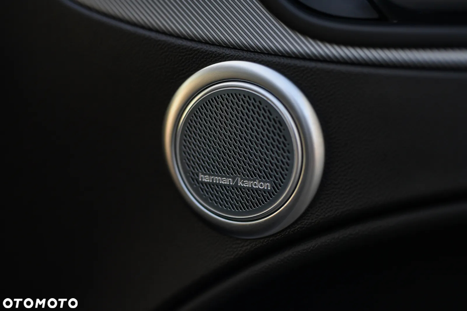 Alfa Romeo Stelvio 2.0 Turbo Veloce TI Q4 - 37