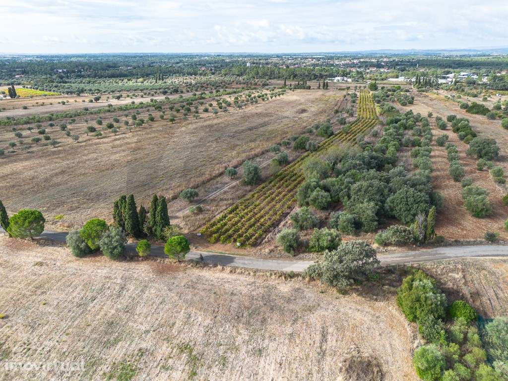 Terreno rústico - Grande imagem: 2/7