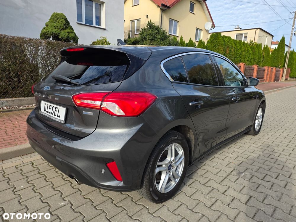Ford Focus 2019 photo 2