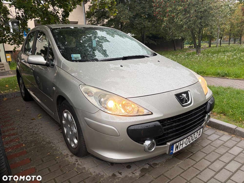 Peugeot 307 2007 photo 2