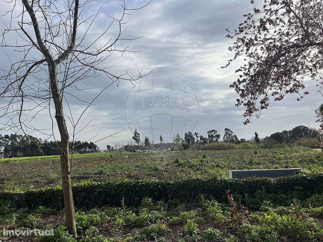 Terreno  para venda - Grande imagem: 2/8