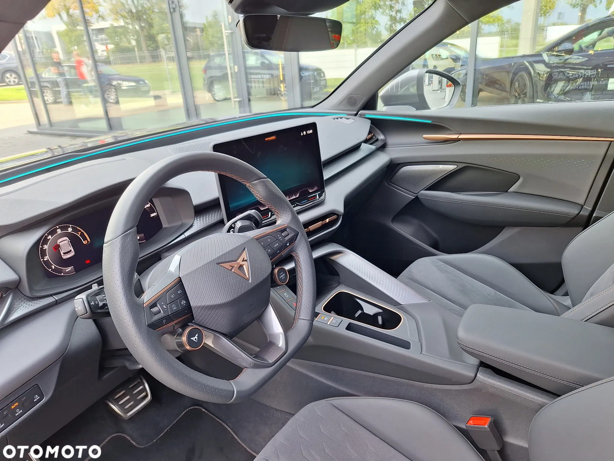 Cupra Terramar - 9