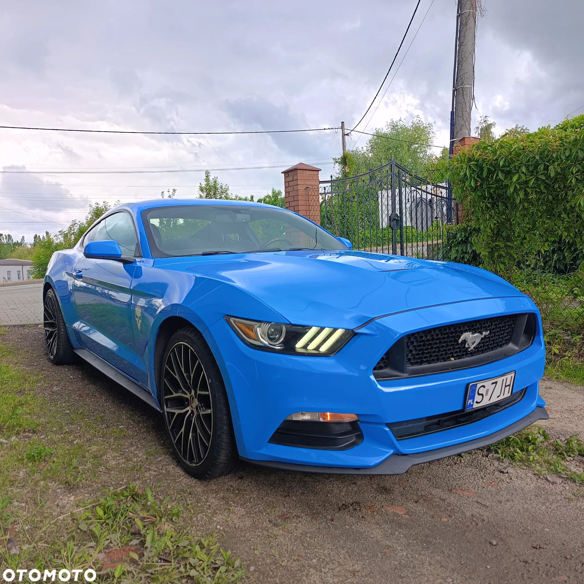 Ford Mustang - 1