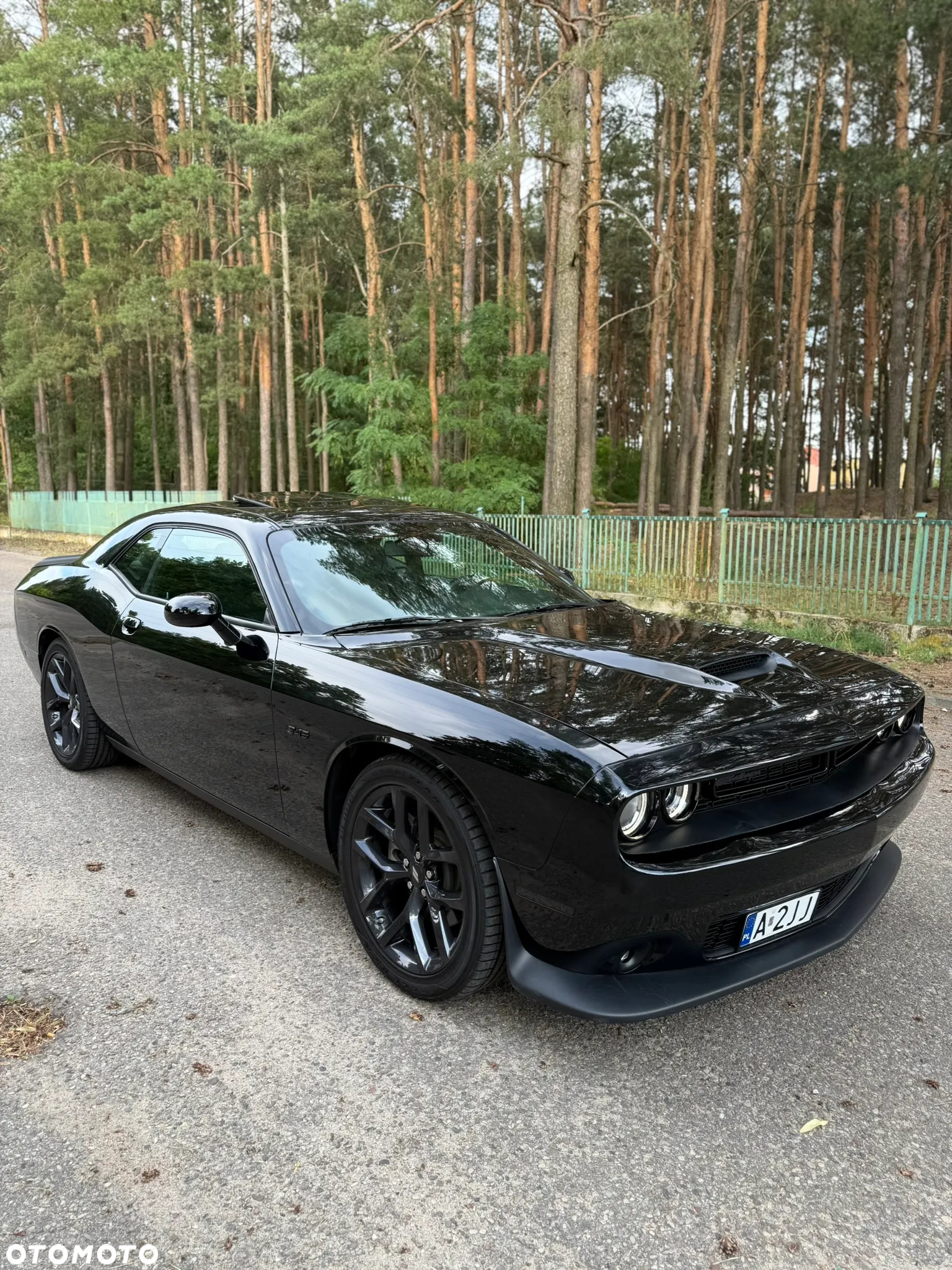 Dodge Challenger - 14