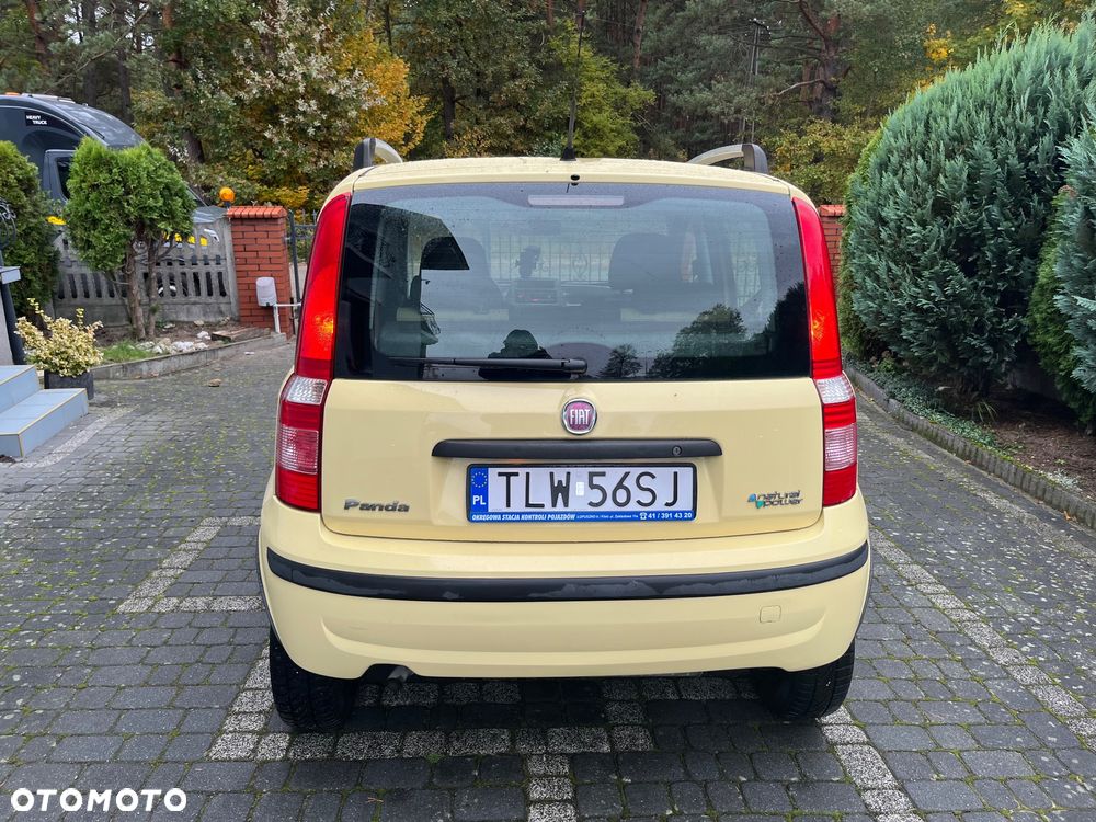 Fiat Panda - 11