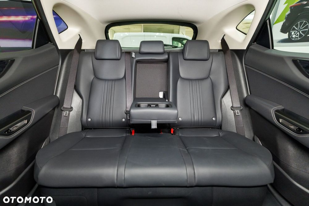 Lexus NX - 18