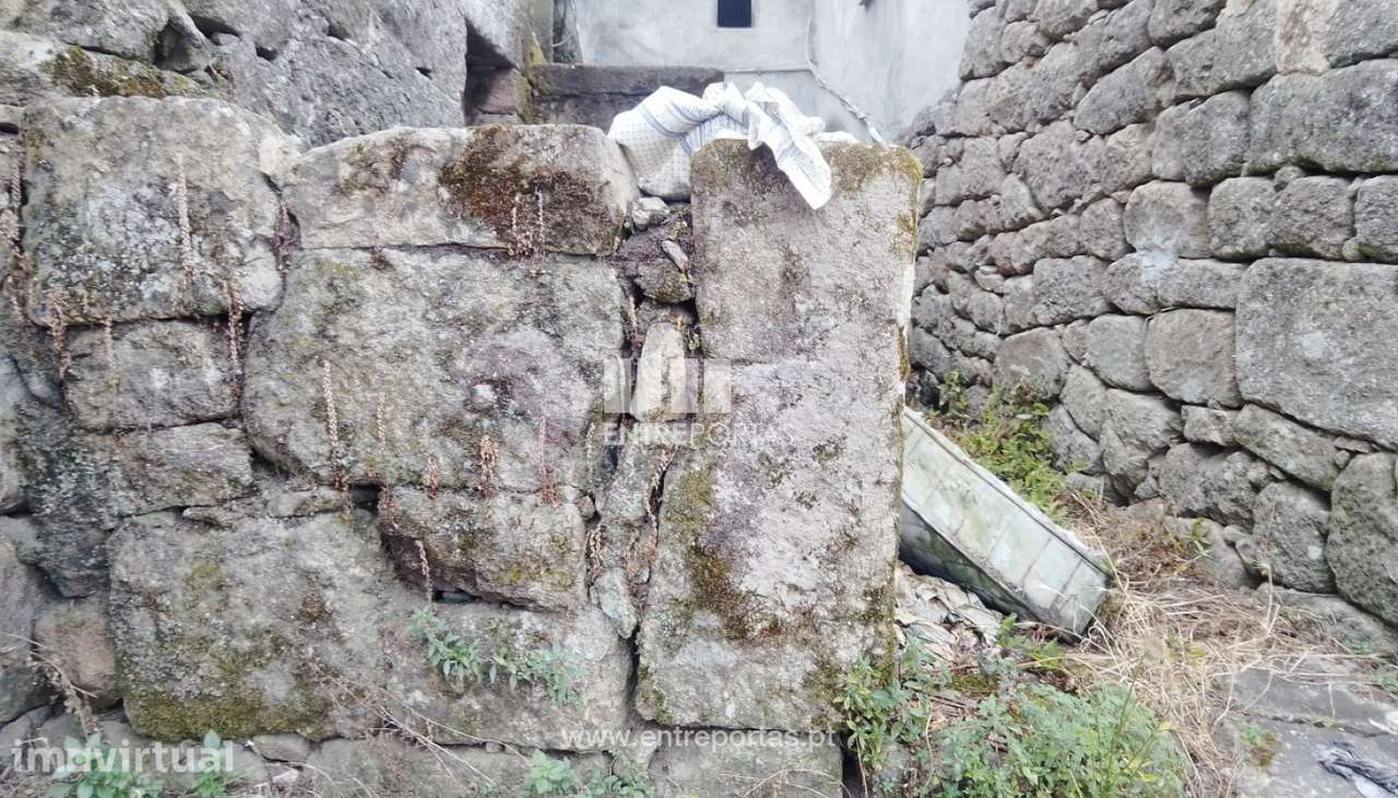 Venda Terreno Tarouquela, Cinfães - Grande imagem: 3/30
