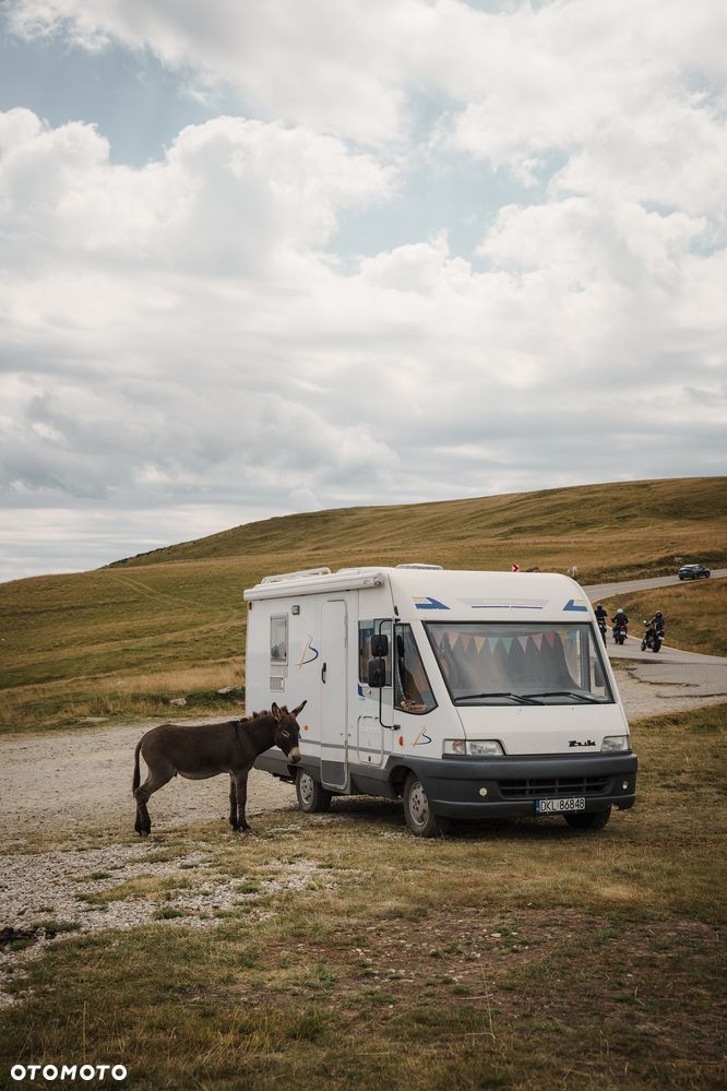 Fiat Ducato - 36