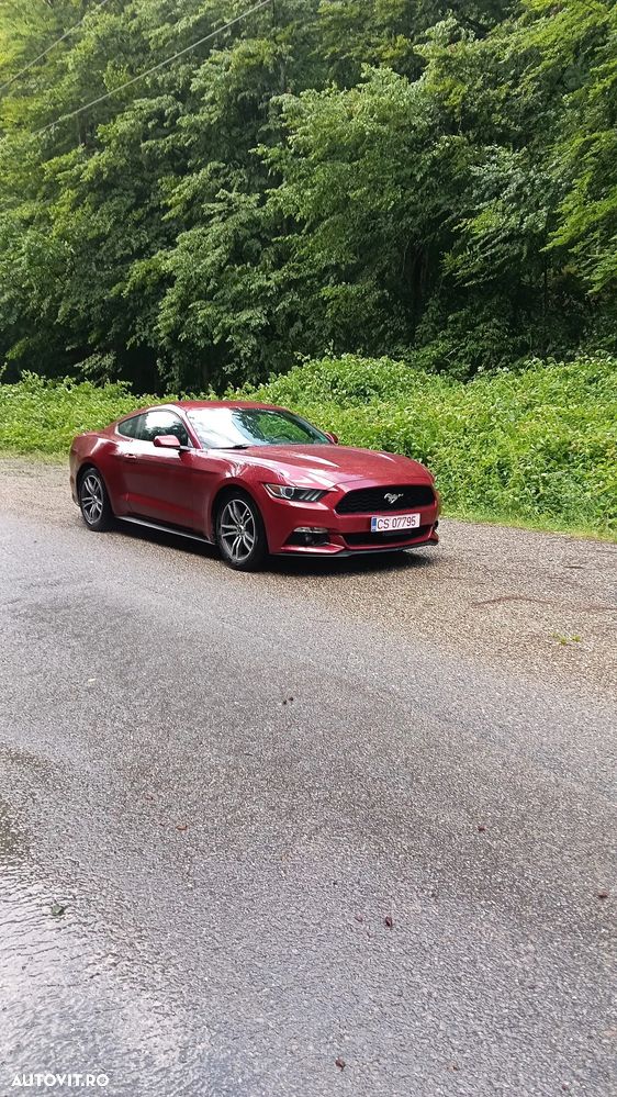 Ford Mustang 2.3 EcoBoost Aut. - 1