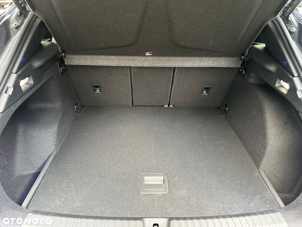 Cupra Terramar 2.0 TSI 4Drive DSG - 9