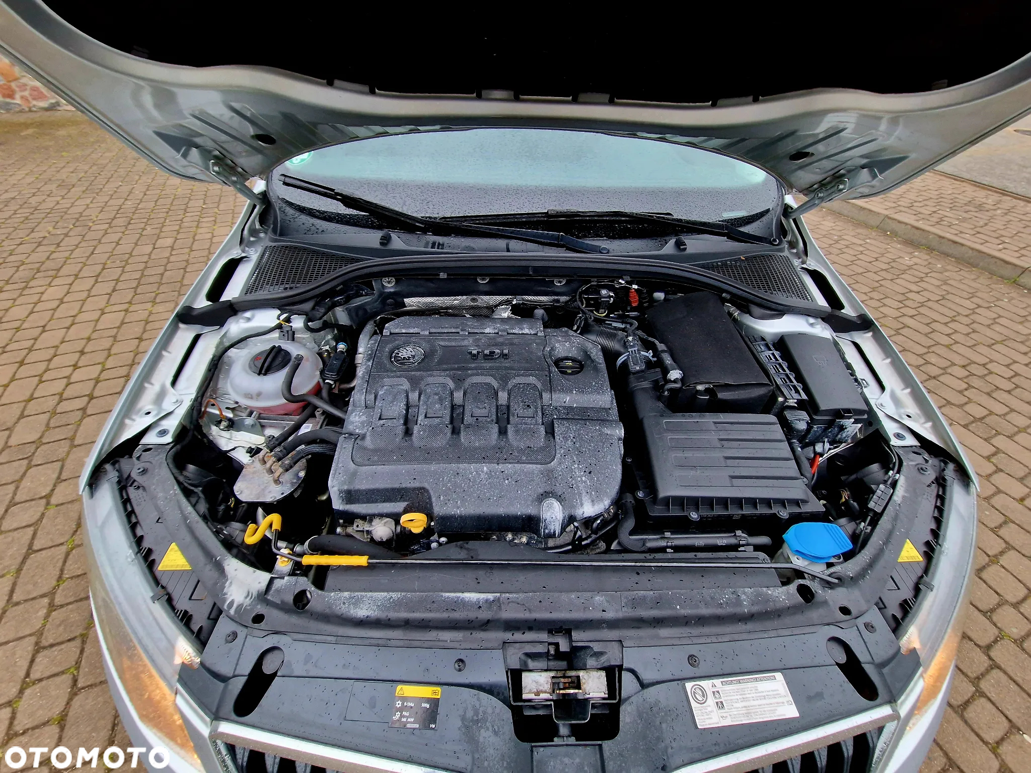 Skoda Octavia 1.6 TDI Edition - 21