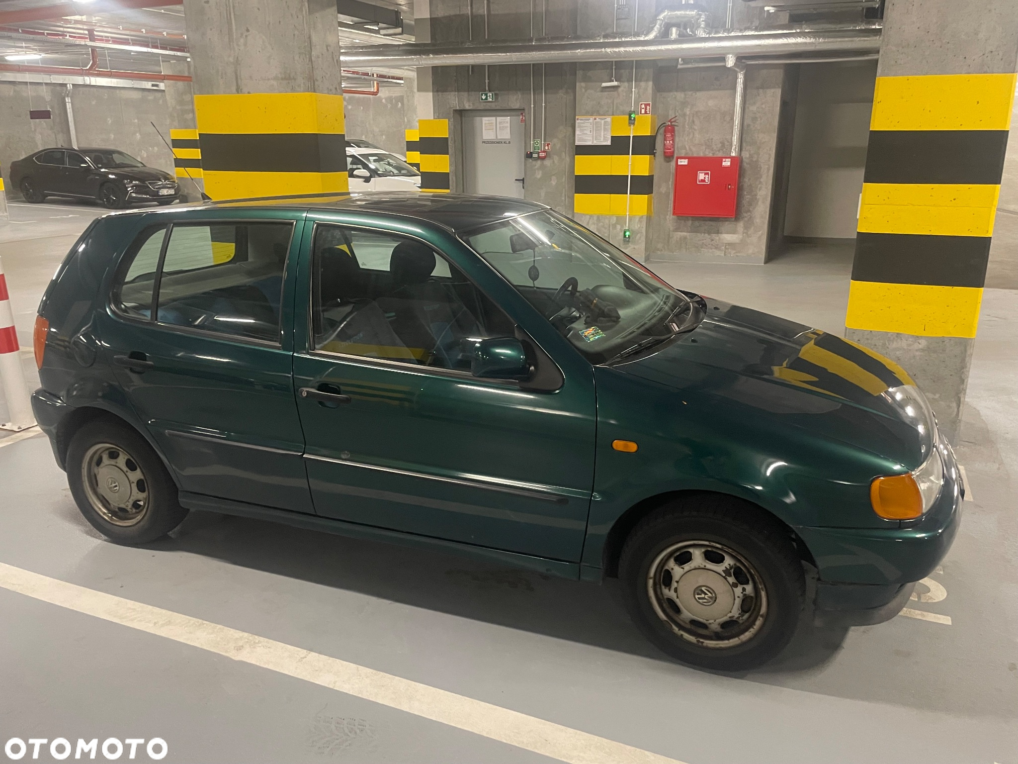 Volkswagen Polo - 3
