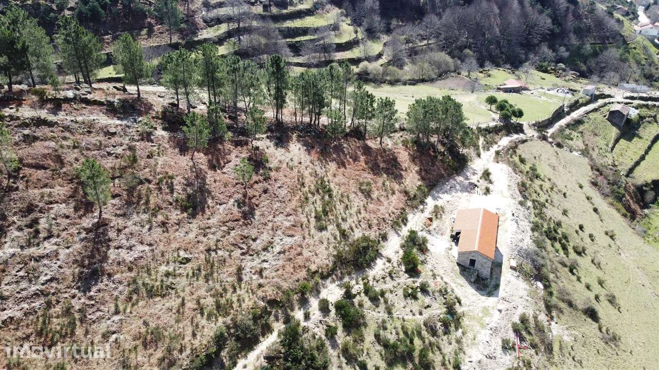 Um refúgio na Serra da Estrela - Quinta - Grande imagem: 5/13
