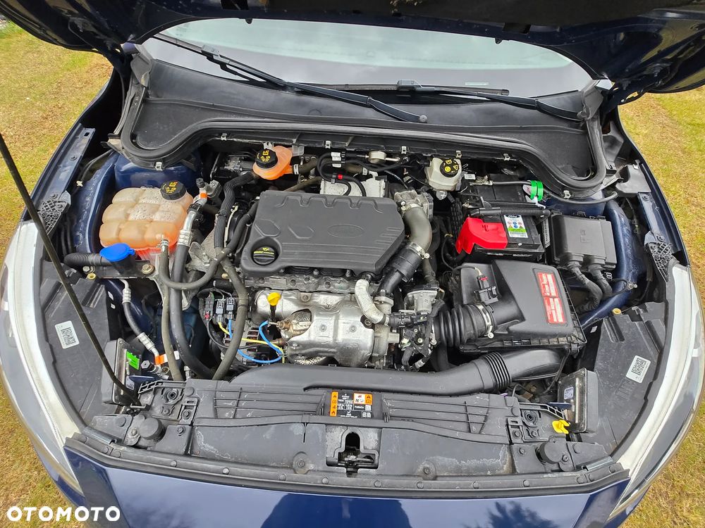 Ford Focus 1.5 EcoBlue Titanium Business - 25
