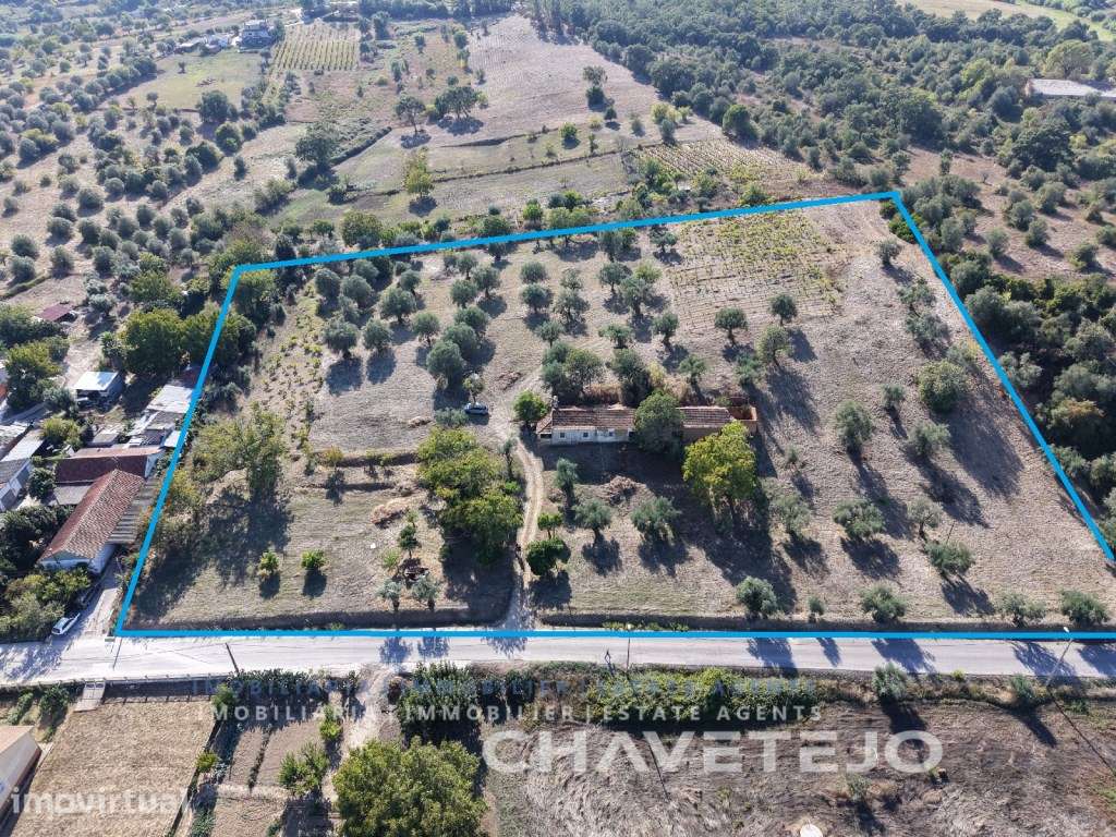 Quinta com 17.100 m² e potencial turístico para venda junto a Tomar