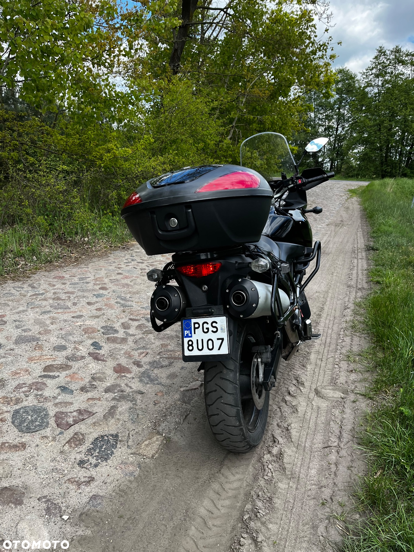 Suzuki DL - 6