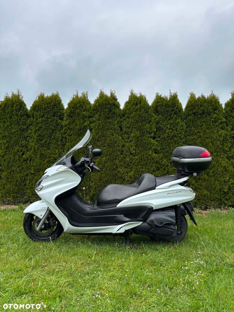 Yamaha Majesty - 11