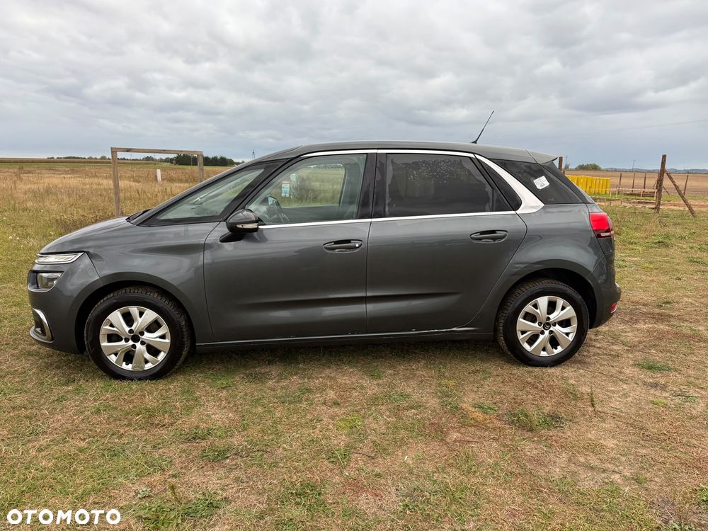 Citroën C4 Picasso BlueHDi 120 Business Class - 21