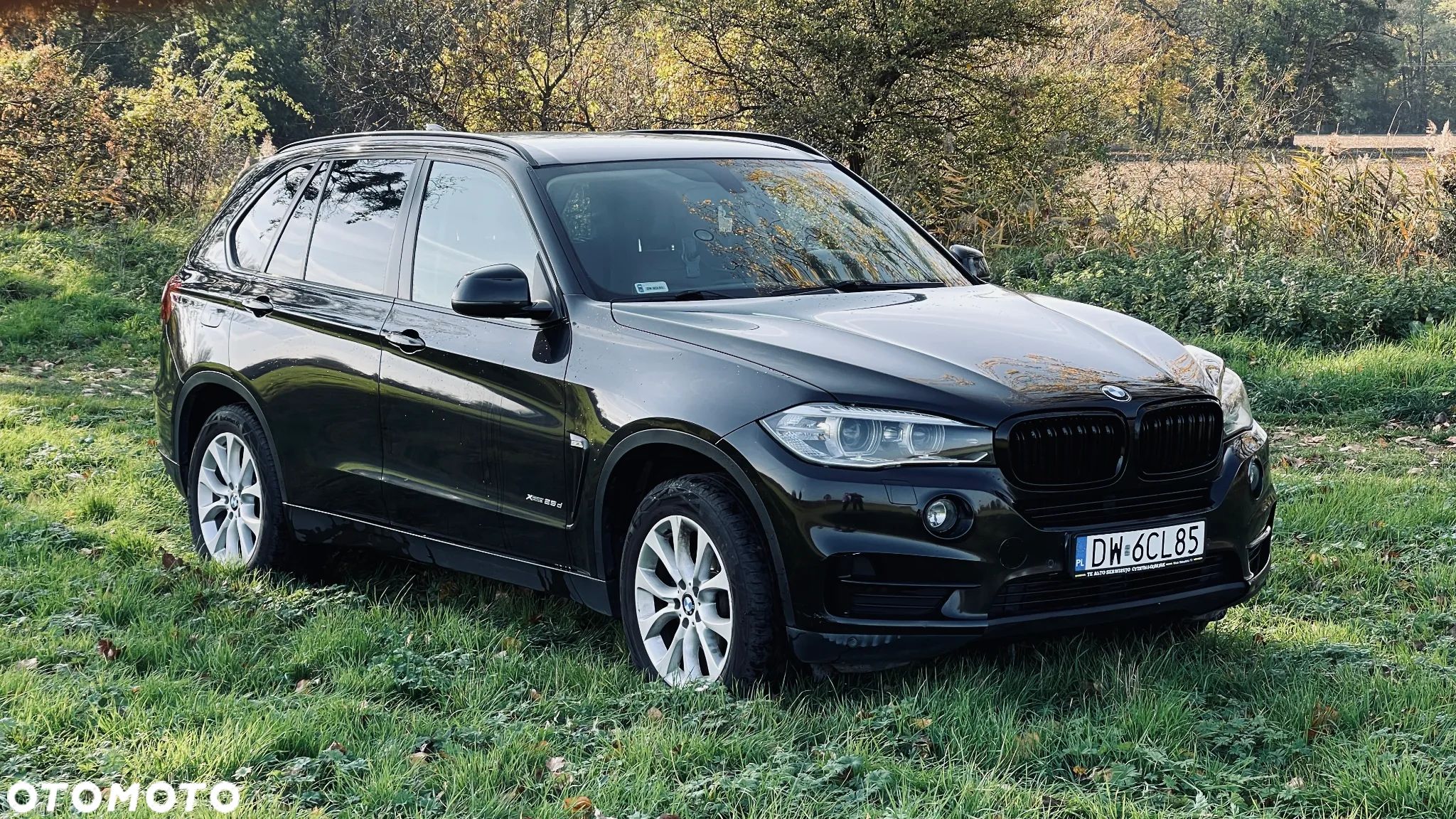 BMW X5 xDrive25d - 1