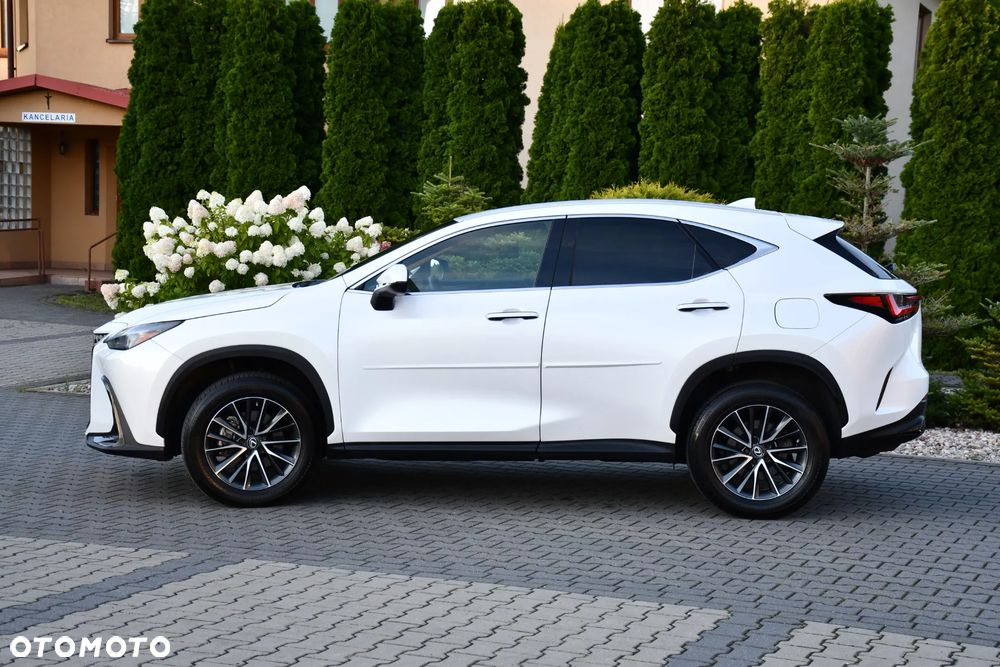 Lexus NX - 8