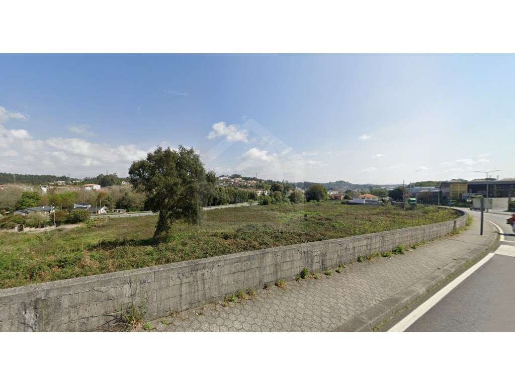 Terreno com 9 970m2 para Construção em Oliveira de Azeméis - Grande imagem: 3/7