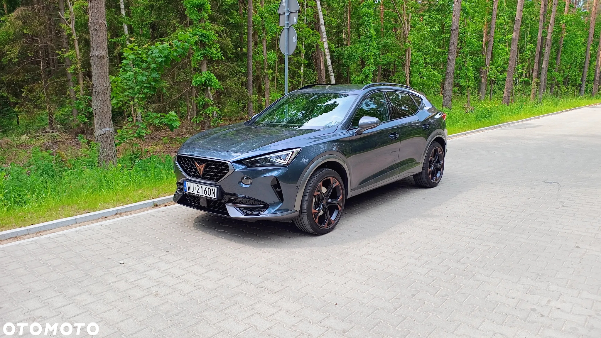 Cupra Formentor 2.0 TDI 4Drive DSG - 3