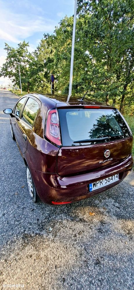 Fiat Punto - 3
