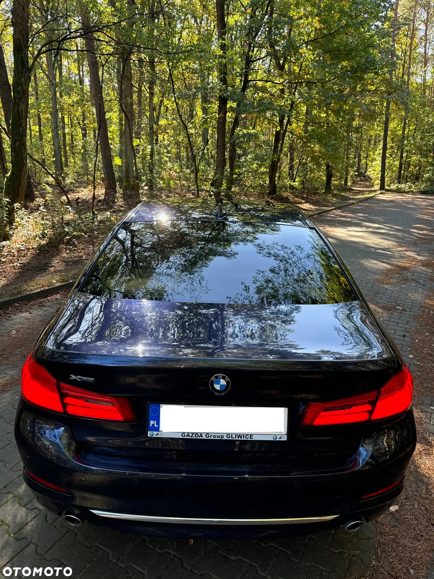 BMW Seria 5 520d xDrive Luxury Line - 7