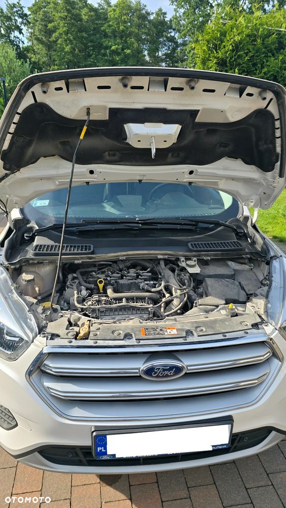 Ford Kuga 1.5 EcoBoost FWD Titanium ASS MMT6 - 30