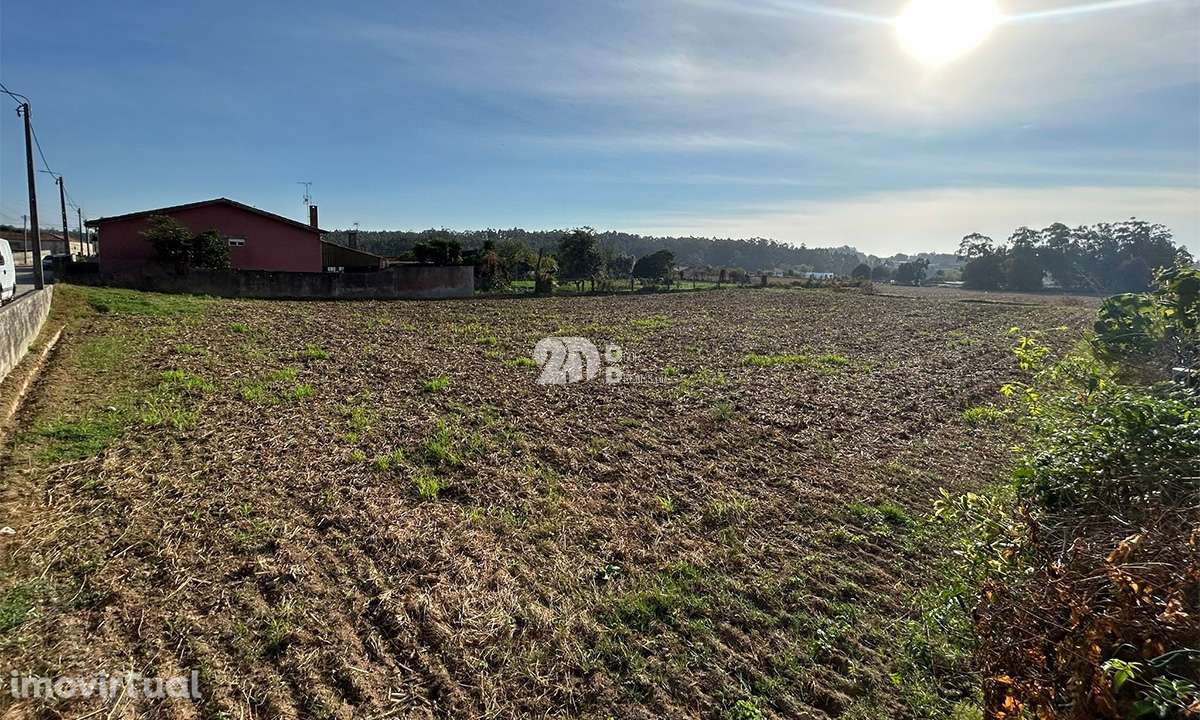 Terreno 3000m² p/ construção - Vilar e Mosteiró - Grande imagem: 5/11