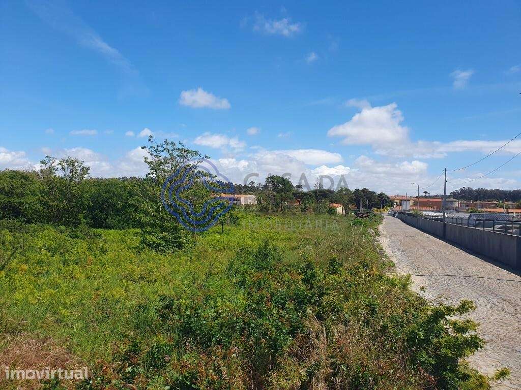 Terreno para construção de moradias na praia da Azurara - Grande imagem: 5/11