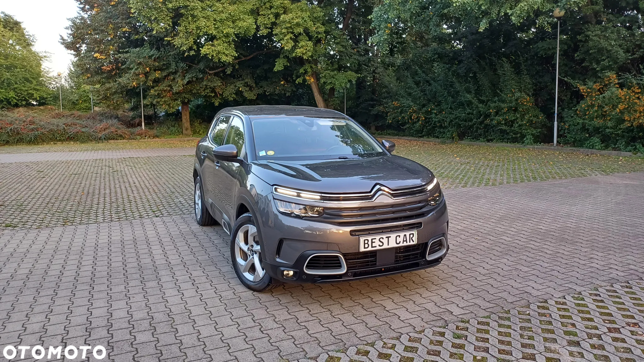 Citroën C5 Aircross BlueHDI 130 S&S EAT8 C-SERIES - 15
