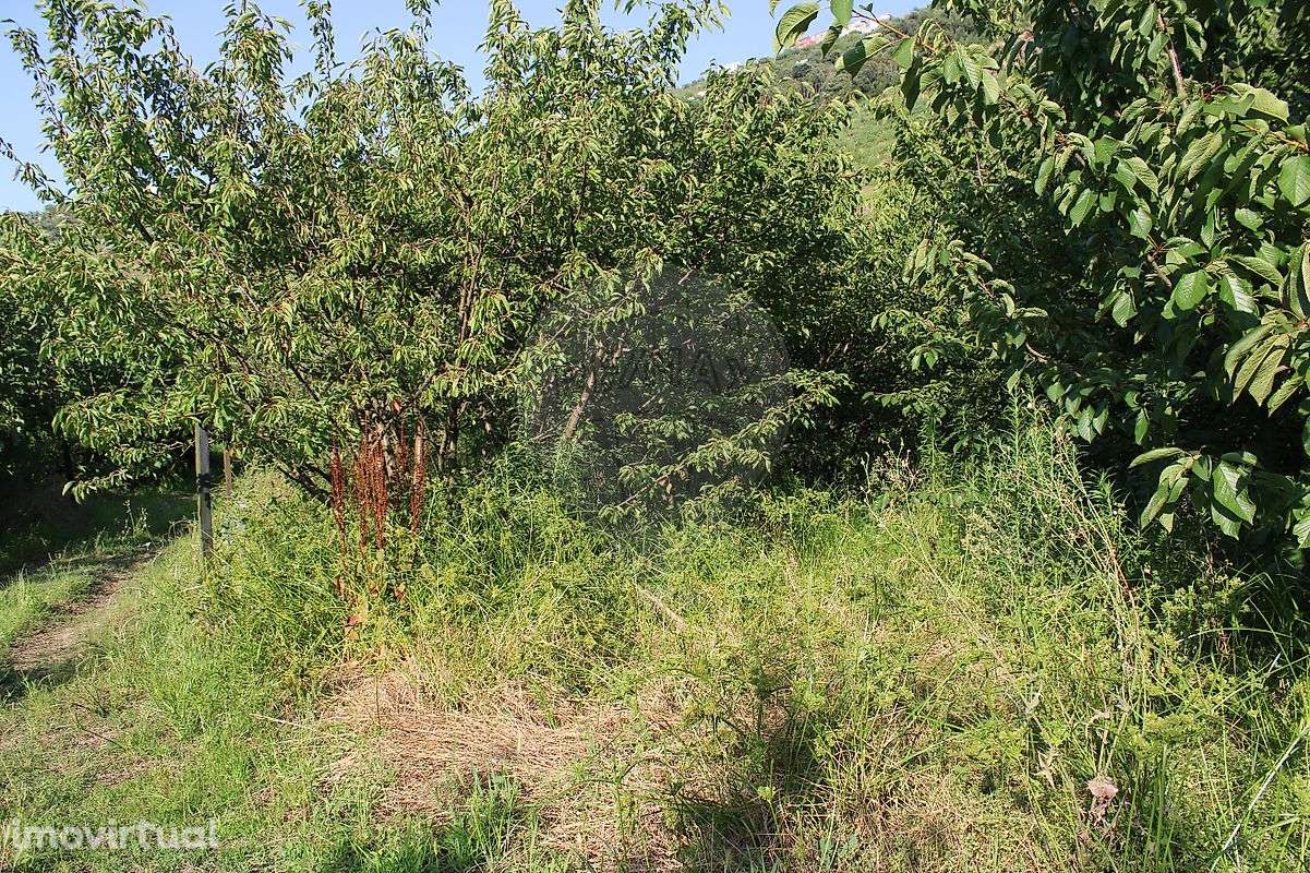 Terreno  para venda - Grande imagem: 3/8