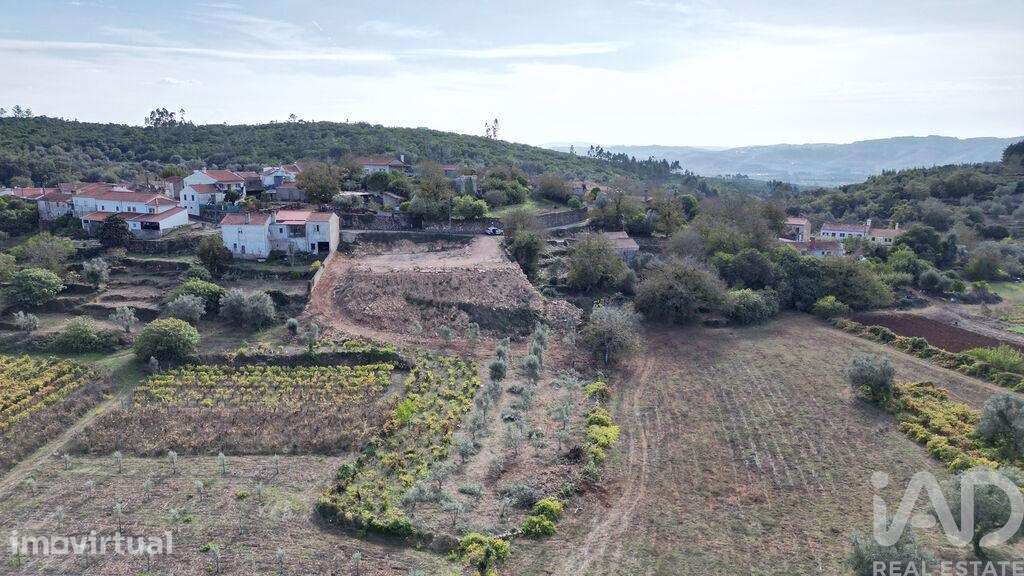 Terreno para construção em São Miguel, Santa Eufémia e Rabaçal - Grande imagem: 2/23