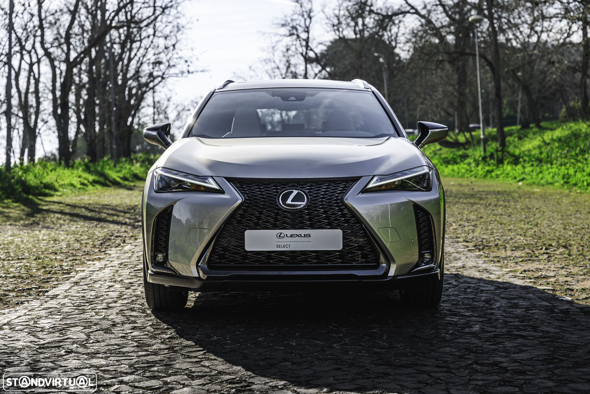 Lexus UX 250h Sport (Ecrã 12.3) - 5
