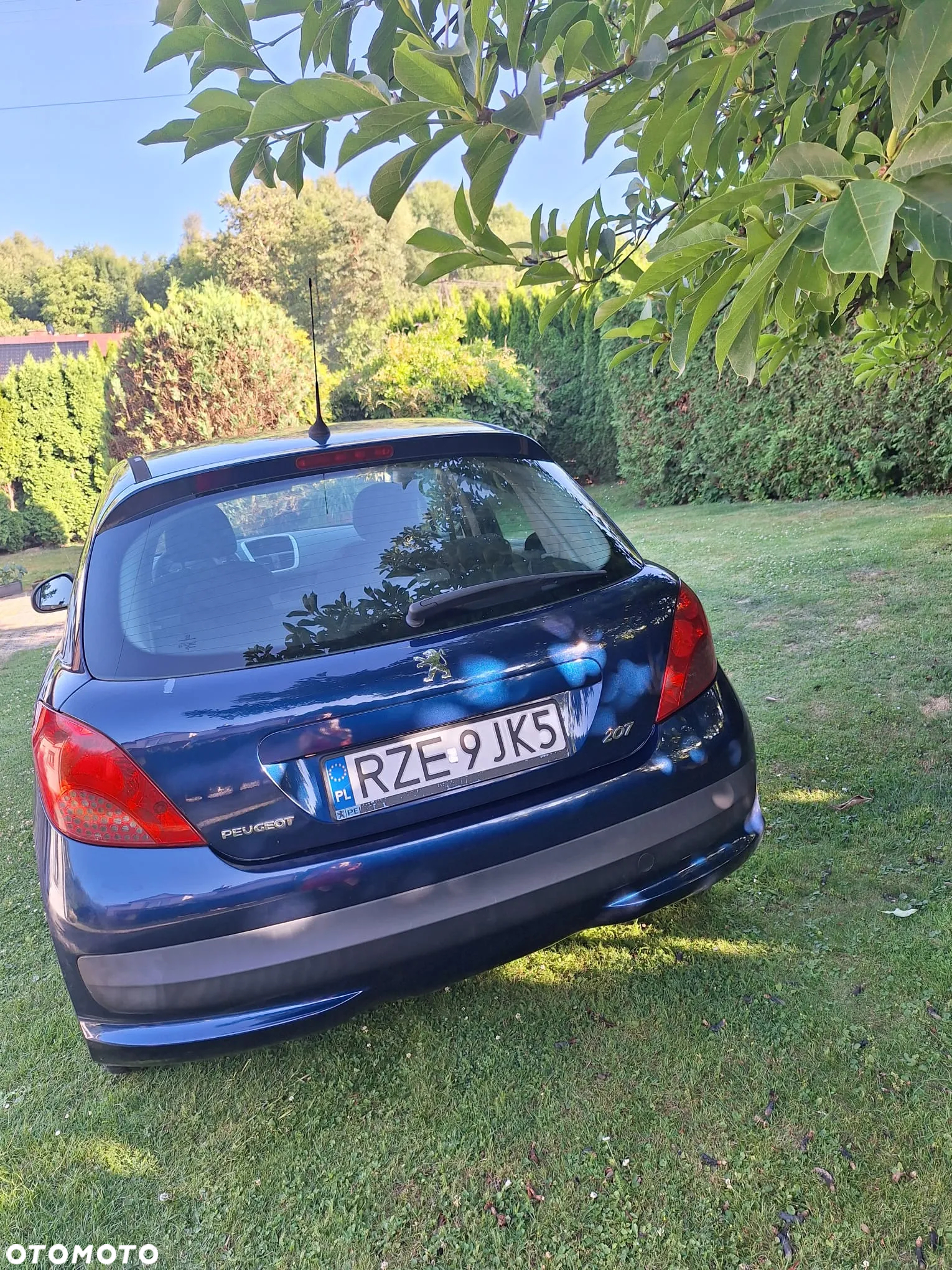 Peugeot 207 - 6