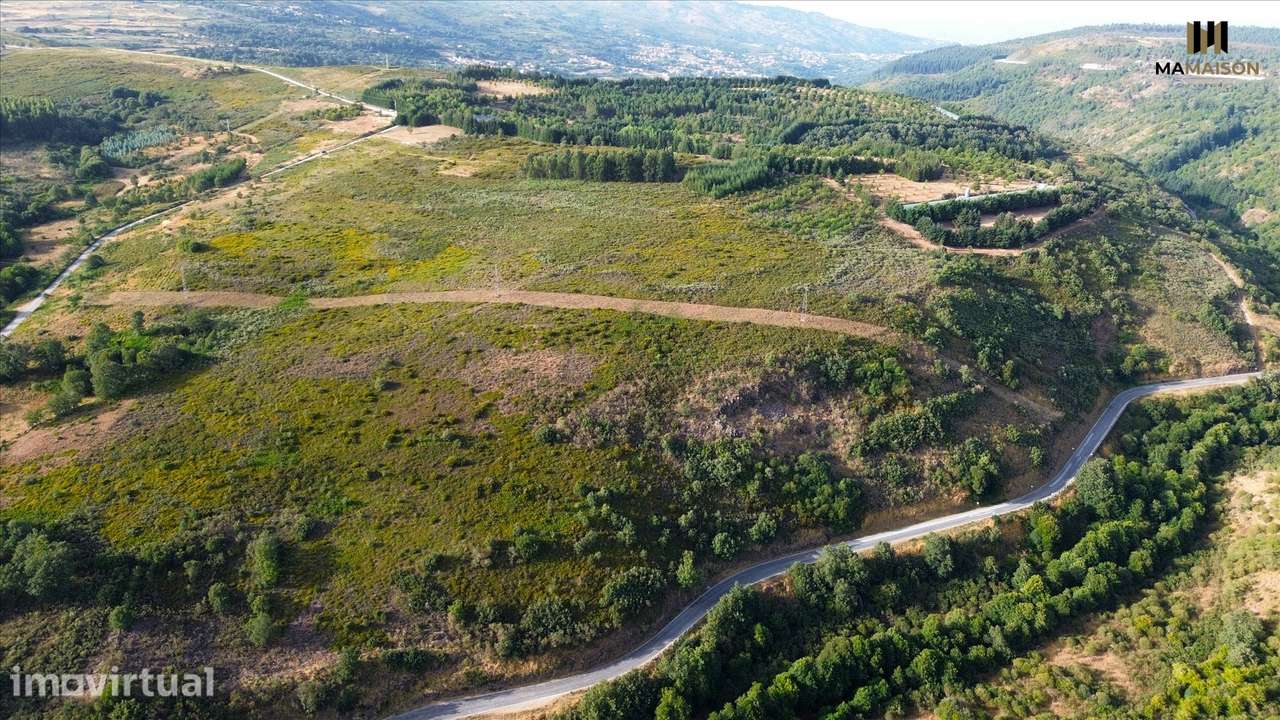 TERRENO COM + de 6 HECTARES | 63.000m2 - Grande imagem: 4/9