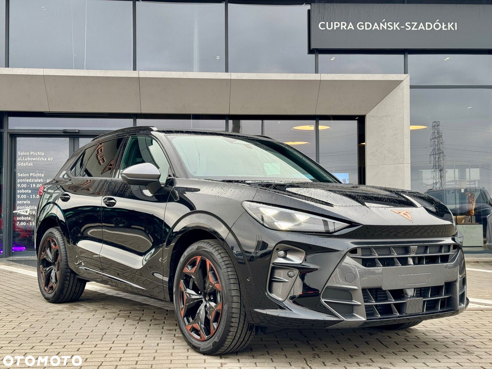 Cupra Terramar 2.0 TSI 4Drive DSG - 3