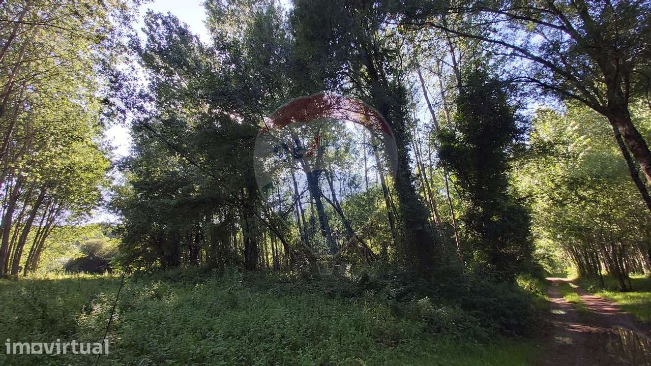 Terreno  para venda - Grande imagem: 5/11