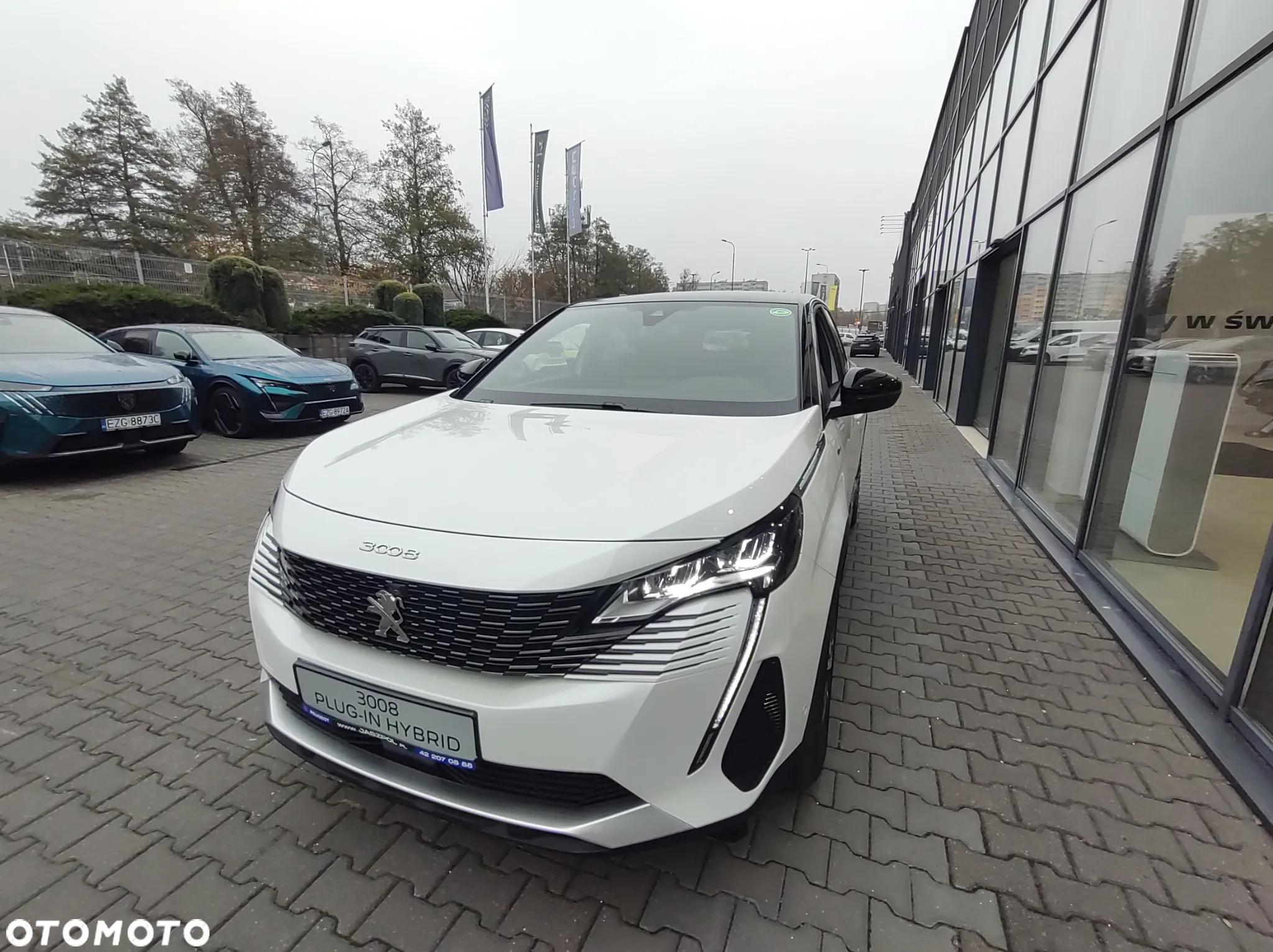 Peugeot 3008 1.6 PureTech Hybrid PHEV Allure Pack S&S EAT8 - 19