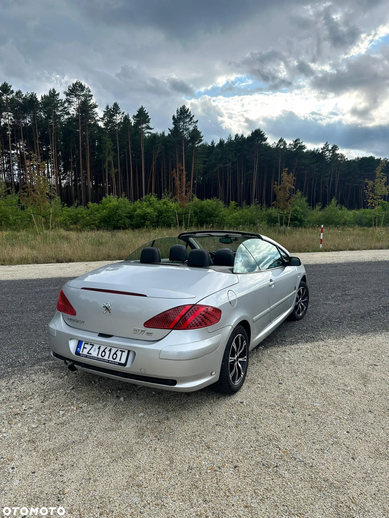 Peugeot 307 CC - 16