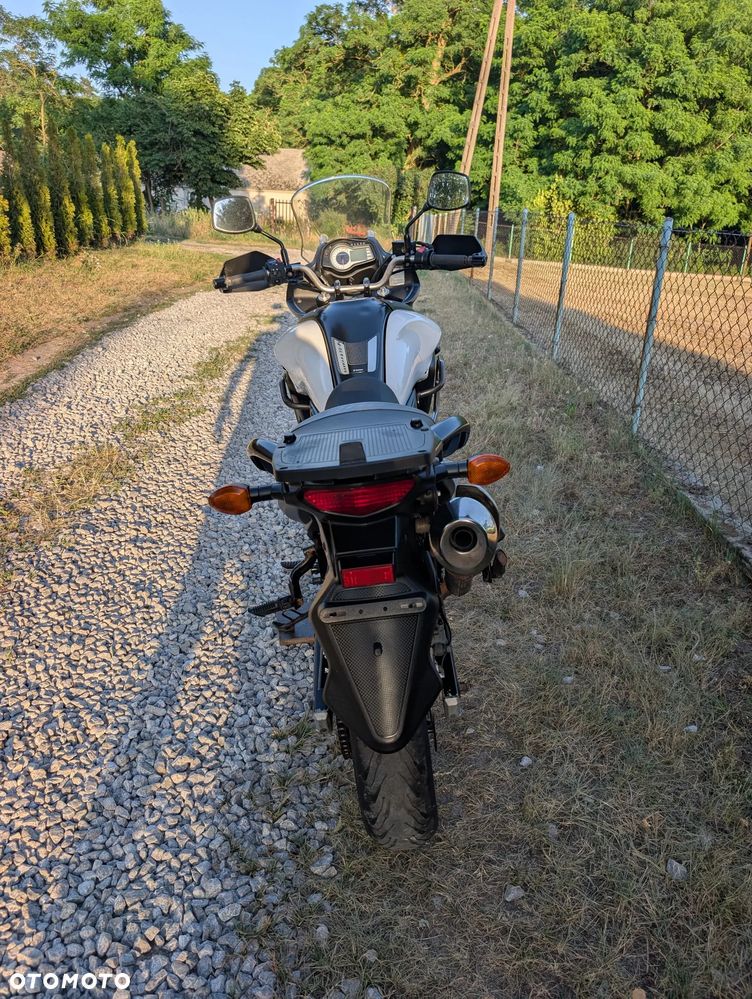 Suzuki V-STROM - 10