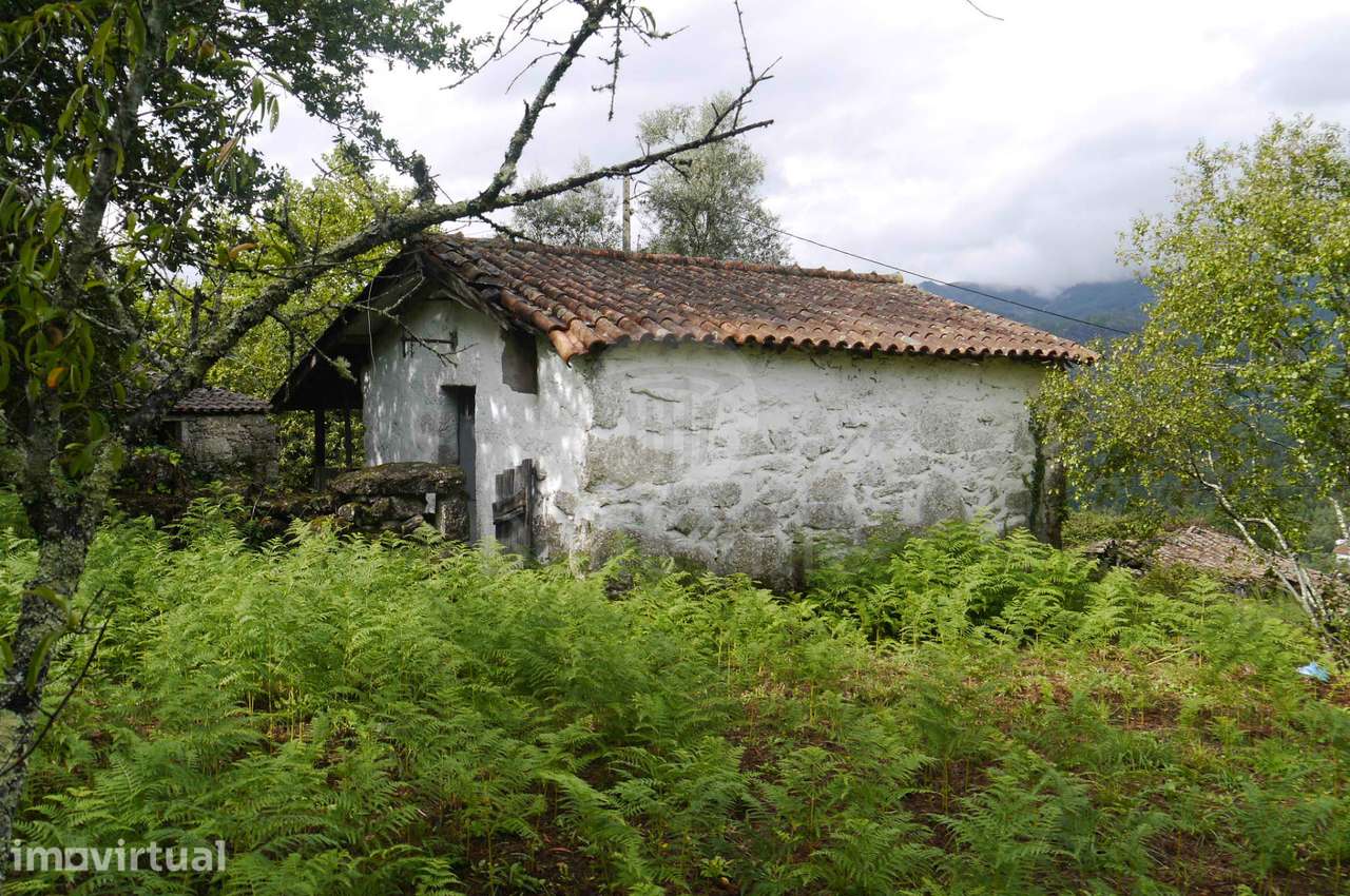 Terreno com duas casas para restauro com 2950m² - Grande imagem: 3/26