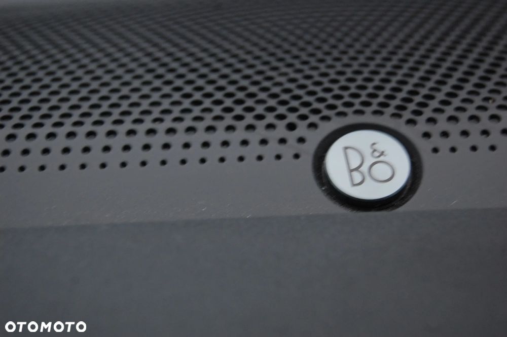 Ford Kuga 2.0 EcoBlue 4x4 ST-LINE X - 21