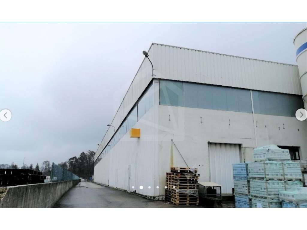 Armazém em Oiã, Oliveira do Bairro - Oportunidade de Investimento -... - Grande imagem: 5/7