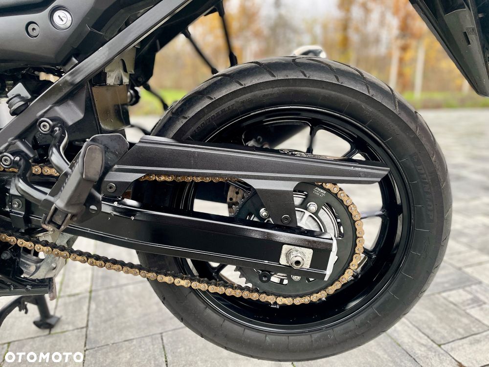 Suzuki V-STROM - 17