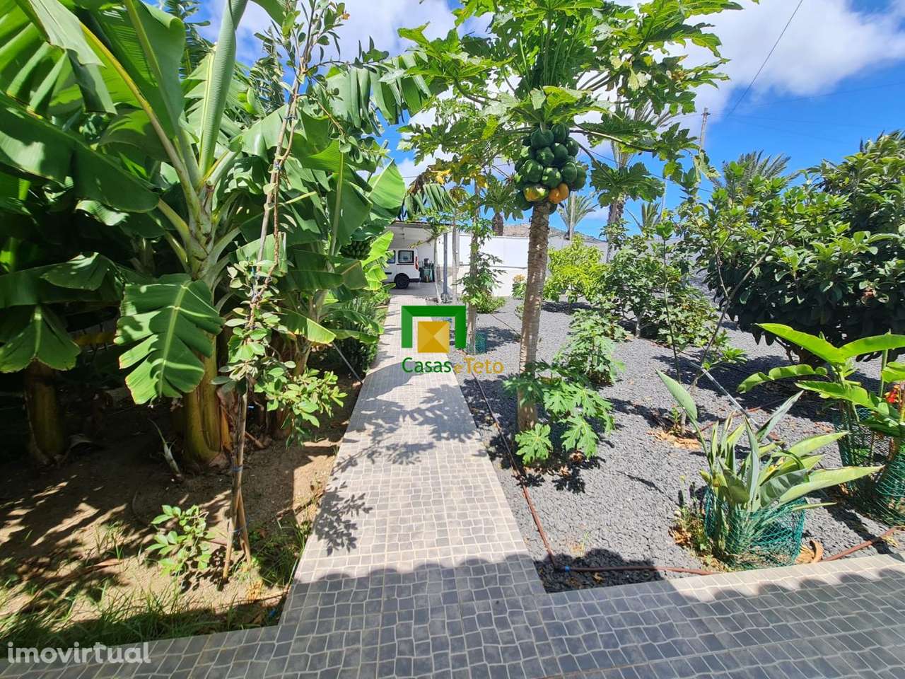 MORADIA TÉRREA - PORTO SANTO - Grande imagem: 4/18